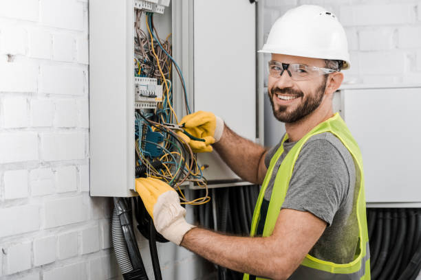 Best Electrical Upgrades for Homes  in Homer, IL