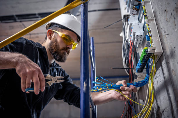 Best Electric Panel Repair  in Homer, IL