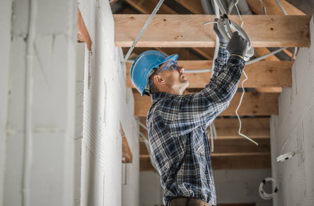 Best Electrical Rewiring Services  in Homer, IL
